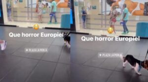 Denuncian en redes sociales a empresa de depilación por malas prácticas Denuncian en redes sociales a empresa de depilación por malas prácticas