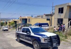 Encuentran bolsas con restos de perros en Tala, Jalisco Encuentran bolsas con restos de perros en Tala, Jalisco