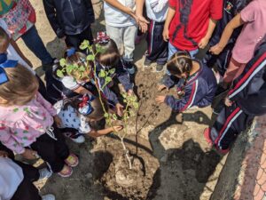 Realizan arborización en Jardín de Niños Gabriela Mistral Realizan arborización en Jardín de Niños Gabriela Mistral