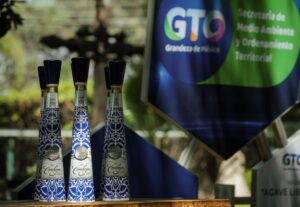 Presentan el primer lote de tequila guanajuatense con el Certificado de Agave Responsable Ambiental. Presentan el primer lote de tequila guanajuatense con el Certificado de Agave Responsable Ambiental.