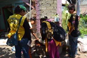 SSG extiende actividades contra el mosquito transmisor del dengue en Celaya. SSG extiende actividades contra el mosquito transmisor del dengue en Celaya.