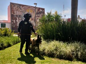 RECONOCEN LABOR DE POLICÍAS CANINOS DE IRAPUATO RECONOCEN LABOR DE POLICÍAS CANINOS DE IRAPUATO