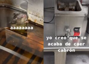Joven encuentra a rata en el aceite de la freidora y graba su reacción Joven encuentra a rata en el aceite de la freidora y graba su reacción