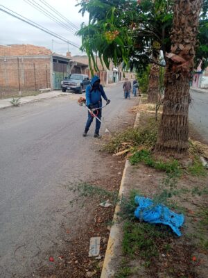 Bulevar a Maravillas con nueva imagen Bulevar a Maravillas con nueva imagen