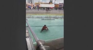 Irapuatense se echa un chapuzón en las fuentes danzarinas (VIDEO) Irapuatense se echa un chapuzón en las fuentes danzarinas (VIDEO)