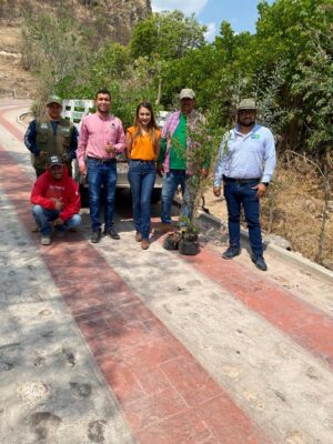 Reforestarán 4 comunidades en Cuerámaro Reforestarán 4 comunidades en Cuerámaro