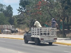 Advierte secretaria del sindicato automotriz empleos de explotación laboral Advierte secretaria del sindicato automotriz empleos de explotación laboral