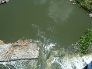 PIDEN ATENCION PARA LIMPIAR EL RIO LERMA Y USAR EL AGUA QUE AHÍ FLUYE ANTE CRISIS HIDRICA QUE VIVE EL PAÍS. PIDEN ATENCION PARA LIMPIAR EL RIO LERMA Y USAR EL AGUA QUE AHÍ FLUYE ANTE CRISIS HIDRICA QUE VIVE EL PAÍS.