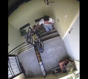 Buscan a hombre que agredió a una perrita y la arrojó de un tercer piso Buscan a hombre que agredió a una perrita y la arrojó de un tercer piso