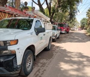 ATENCIÓN: Se suspenderá servicio de energía eléctrica en Cuevas y comunidades cercanas por trabajos para retirar árbol dañado por un rayo ATENCIÓN: Se suspenderá servicio de energía eléctrica en Cuevas y comunidades cercanas por trabajos para retirar árbol dañado por un rayo