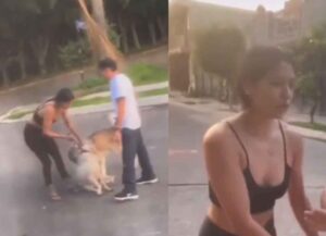 Mujer permite que su perro mate a otro en su colonia Mujer permite que su perro mate a otro en su colonia