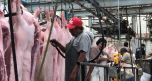 Mejoran espacios en el rastro municipal para una mayor eficiencia Mejoran espacios en el rastro municipal para una mayor eficiencia