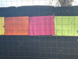 DENUNCIAN AFECTACIÓN AMBIENTAL EN EL RÍO LERMA POR DESCARGAS DE AGUAS NEGRAS Y TALA DE ÁRBOL DENUNCIAN AFECTACIÓN AMBIENTAL EN EL RÍO LERMA POR DESCARGAS DE AGUAS NEGRAS Y TALA DE ÁRBOL