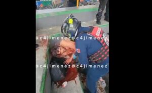 Apuñalan y dejan gravemente herido a hombre en la Ciudad de México Apuñalan y dejan gravemente herido a hombre en la Ciudad de México