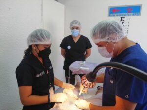 Más de 300 varones se han visto beneficiados por la vasectomía sin bisturí en los municipios de la Jurisdicción Sanitaria IV Más de 300 varones se han visto beneficiados por la vasectomía sin bisturí en los municipios de la Jurisdicción Sanitaria IV