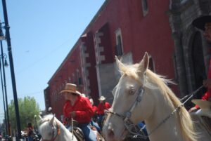 SALAMANCA ES EL ÚNICO MUNICIPIO DEL ESTADO QUE NO HA CONFIRMADO SU APOYO A CABALGATA RUTA DE LA INDEPENDENCIA SALAMANCA ES EL ÚNICO MUNICIPIO DEL ESTADO QUE NO HA CONFIRMADO SU APOYO A CABALGATA RUTA DE LA INDEPENDENCIA