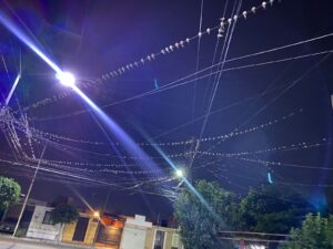 PIDEN APOYO AL MUNICIPIO POR PLAGA DE PÁJAROS EN LAS COLONIAS INFONAVIT Y PRIMAVERA PIDEN APOYO AL MUNICIPIO POR PLAGA DE PÁJAROS EN LAS COLONIAS INFONAVIT Y PRIMAVERA