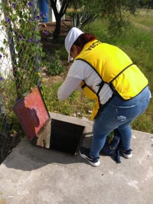 SSG incrementa las acciones de atención y prevención del dengue en Celaya. SSG incrementa las acciones de atención y prevención del dengue en Celaya.