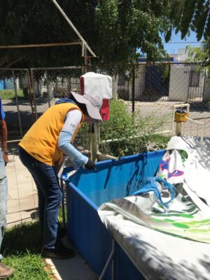 SSG refuerza acciones de prevención del dengue en Salamanca. SSG refuerza acciones de prevención del dengue en Salamanca.