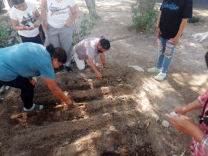 SSG fomenta la alimentación sustentable con la instalación de huertos. SSG fomenta la alimentación sustentable con la instalación de huertos.