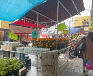 ANTE DEMANDA REGULAR DE FLOR DE MUERTO OFERTAN FLOR DE CEMPASÚCHIL EN EL MERCADO TOMASA ESTEVES ANTE DEMANDA REGULAR DE FLOR DE MUERTO OFERTAN FLOR DE CEMPASÚCHIL EN EL MERCADO TOMASA ESTEVES