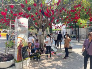 DIF SE APODERA DEL LLAMADO ÁRBOL DE LA ESPERANZA Y MADRES BUSCADORAS SE DESPIDEN DEL LUGAR QUE ALGÚN DÍA OCUPARON PARA HONRAR A SUS SERES AMADOS DESAPARECIDOS DIF SE APODERA DEL LLAMADO ÁRBOL DE LA ESPERANZA Y MADRES BUSCADORAS SE DESPIDEN DEL LUGAR QUE ALGÚN DÍA OCUPARON PARA HONRAR A SUS SERES AMADOS DESAPARECIDOS