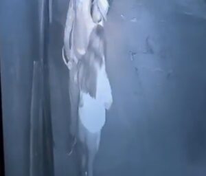 Ladrón asalta y abusa sexualmente de una mujer en San Luis Potosí Ladrón asalta y abusa sexualmente de una mujer en San Luis Potosí