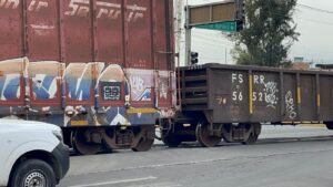 Durante casi una hora impide el tren paso a ciudadanos Durante casi una hora impide el tren paso a ciudadanos