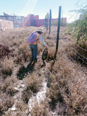 SSG combate el dengue en la capital del estado interviniendo más de 4 mil viviendas. SSG combate el dengue en la capital del estado interviniendo más de 4 mil viviendas.