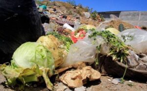 Cámara de Diputados aprueba dictamen para combatir el desperdicio y la pérdida de alimentos Cámara de Diputados aprueba dictamen para combatir el desperdicio y la pérdida de alimentos