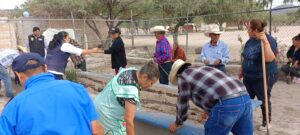 El Sistema de Salud expande la habilitación de Huertos Sustentables en San Diego de la Unión. El Sistema de Salud expande la habilitación de Huertos Sustentables en San Diego de la Unión.