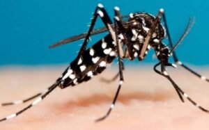 CASO DE DEFUNCIÓN POR DENGUE EN IRAPUATO CASO DE DEFUNCIÓN POR DENGUE EN IRAPUATO