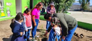 Reforestan primaria y jardín de niños en el poblado Los Hornos Reforestan primaria y jardín de niños en el poblado Los Hornos