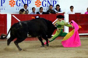 Pocos tienen futuro en el toro, pero otros deben recapacitar Pocos tienen futuro en el toro, pero otros deben recapacitar