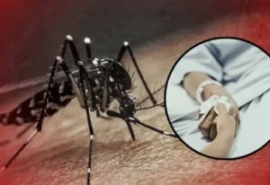 Confirma el IMSS la primera defunción por Dengue en Irapuato Confirma el IMSS la primera defunción por Dengue en Irapuato