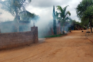 Gto capital sin casos activos de dengue, refuerza acciones. Gto capital sin casos activos de dengue, refuerza acciones.