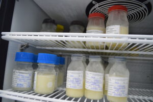 SSG genera la mayor cantidad de leche humana homologada para alimentar a bebés guanajuatenses. SSG genera la mayor cantidad de leche humana homologada para alimentar a bebés guanajuatenses.