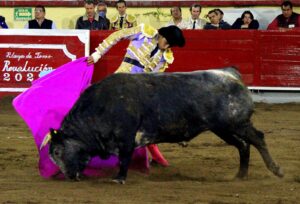 Diego Silveti malogró su triunfo con la espada y El Payo estuvo tesonero Diego Silveti malogró su triunfo con la espada y El Payo estuvo tesonero