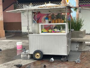 Ejecutan revisión de espacio y mercancía con puestos semifijos de la Zona Centro Ejecutan revisión de espacio y mercancía con puestos semifijos de la Zona Centro