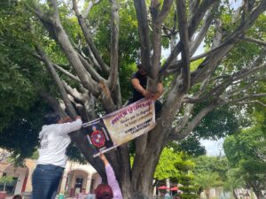 TOMAN UN NUEVO ÁRBOL EN MEMORIA DE SUS SERES DESAPARECIDOS Y PIDEN RESPETO A LA PRESIDENTA DEL DIF Y AL ALCALDE TOMAN UN NUEVO ÁRBOL EN MEMORIA DE SUS SERES DESAPARECIDOS Y PIDEN RESPETO A LA PRESIDENTA DEL DIF Y AL ALCALDE