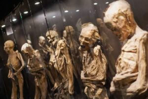 Recibe Museo de las Momias más de medio millón de visitantes y recauda más de $42 millones en todo el 2023 Recibe Museo de las Momias más de medio millón de visitantes y recauda más de $42 millones en todo el 2023