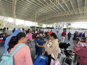 SSG logra la esterilización de 8 mil 500 perros y gatos en Uriangato, Moroleón, Valle de Santiago y Yuriria. SSG logra la esterilización de 8 mil 500 perros y gatos en Uriangato, Moroleón, Valle de Santiago y Yuriria.