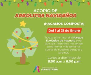 No deseches tu árbol en la basura y llévalo al PEI, una iniciativa ecológica No deseches tu árbol en la basura y llévalo al PEI, una iniciativa ecológica