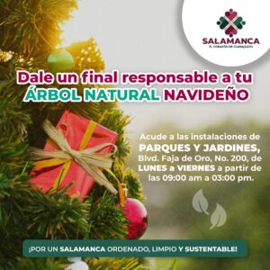 GOBIERNO DE SALAMANCA TE INVITA A DESECHAR TU ARBOLITO NATURAL DE NAVIDAD DE MANERA RESPONSABLE. GOBIERNO DE SALAMANCA TE INVITA A DESECHAR TU ARBOLITO NATURAL DE NAVIDAD DE MANERA RESPONSABLE.