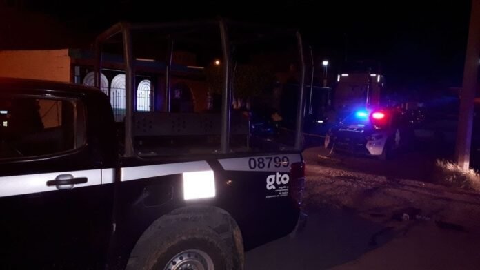 28b3c87e-f2a0-4cd0-976d-c0a0b5d2bb99