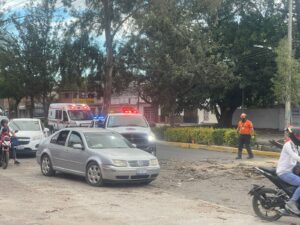 Cae árbol y bloquea el flujo vehicular en la avenida Reforma Cae árbol y bloquea el flujo vehicular en la avenida Reforma