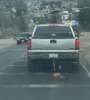 ¡Indignante! Captan a mujer arrastrando a lomito en Guanajuato Capital ¡Indignante! Captan a mujer arrastrando a lomito en Guanajuato Capital