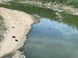CRISIS POR FALTA DE LLUVIAS DEVASTA PRESAS GUANAJUATENSES CRISIS POR FALTA DE LLUVIAS DEVASTA PRESAS GUANAJUATENSES
