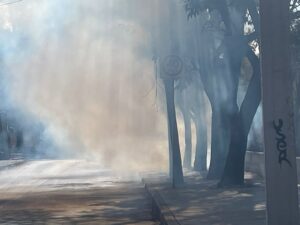 NEBULIZAN RÍO LERMA PARA PREVENIR CRIADEROS DE MOSCO DE DENGUE NEBULIZAN RÍO LERMA PARA PREVENIR CRIADEROS DE MOSCO DE DENGUE