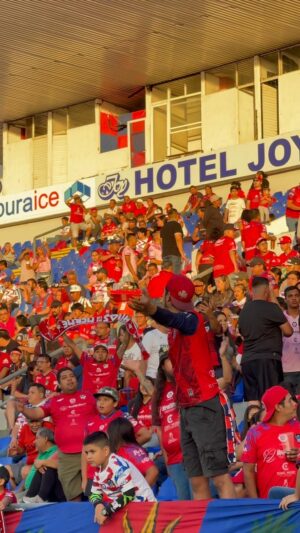 Cae la Trinca ante el Porto Palmeiras Cae la Trinca ante el Porto Palmeiras